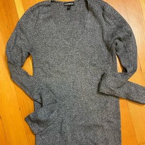 NWOT Express V neck long sleeve top M
